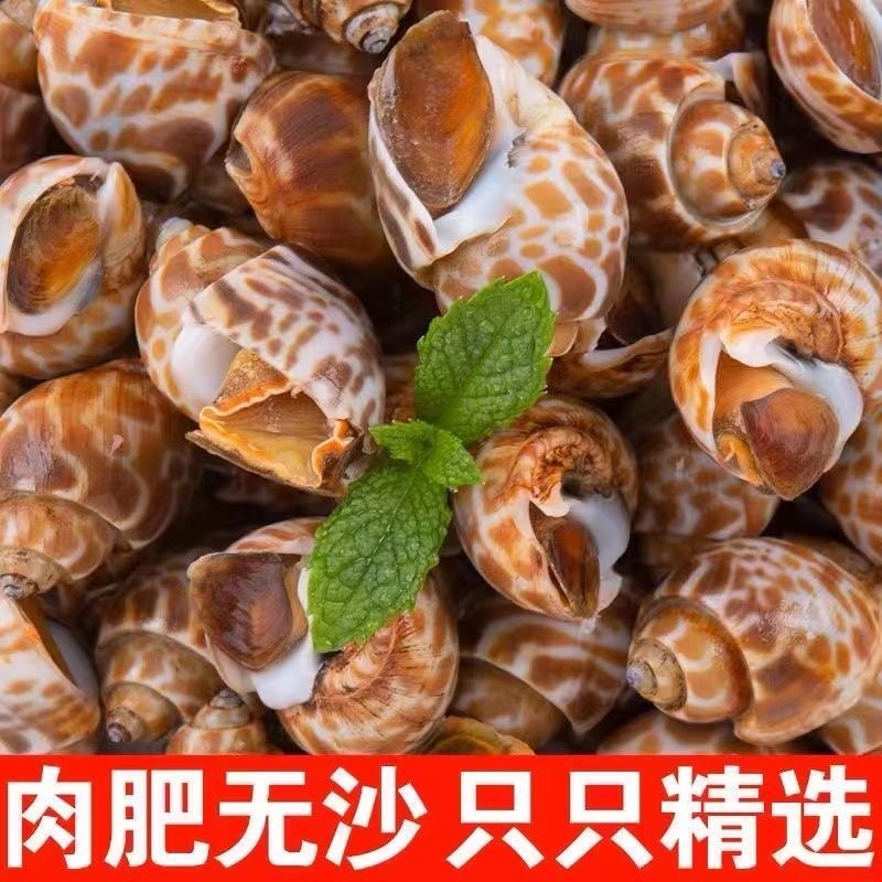 冷冻花螺海螺田螺捞汁小海鲜