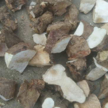 广东茂名土茯苓块