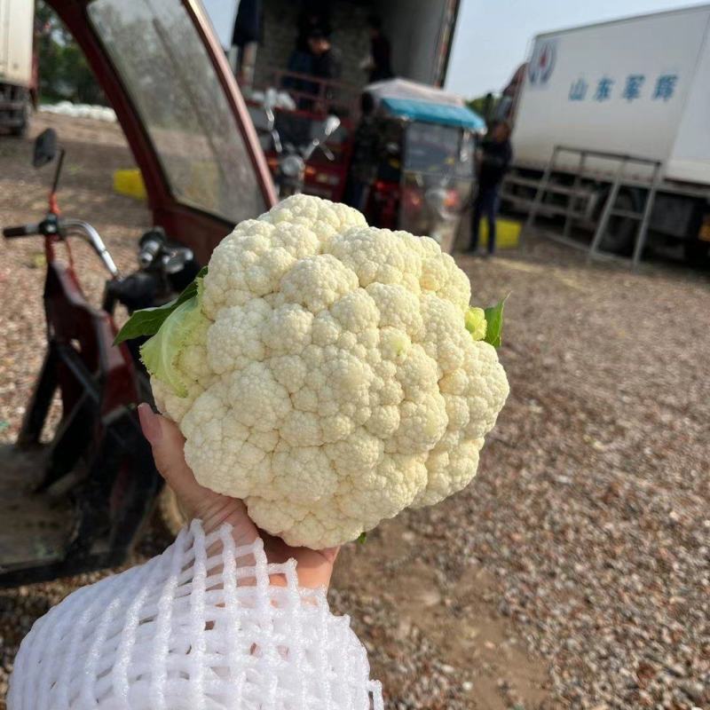 菜花
