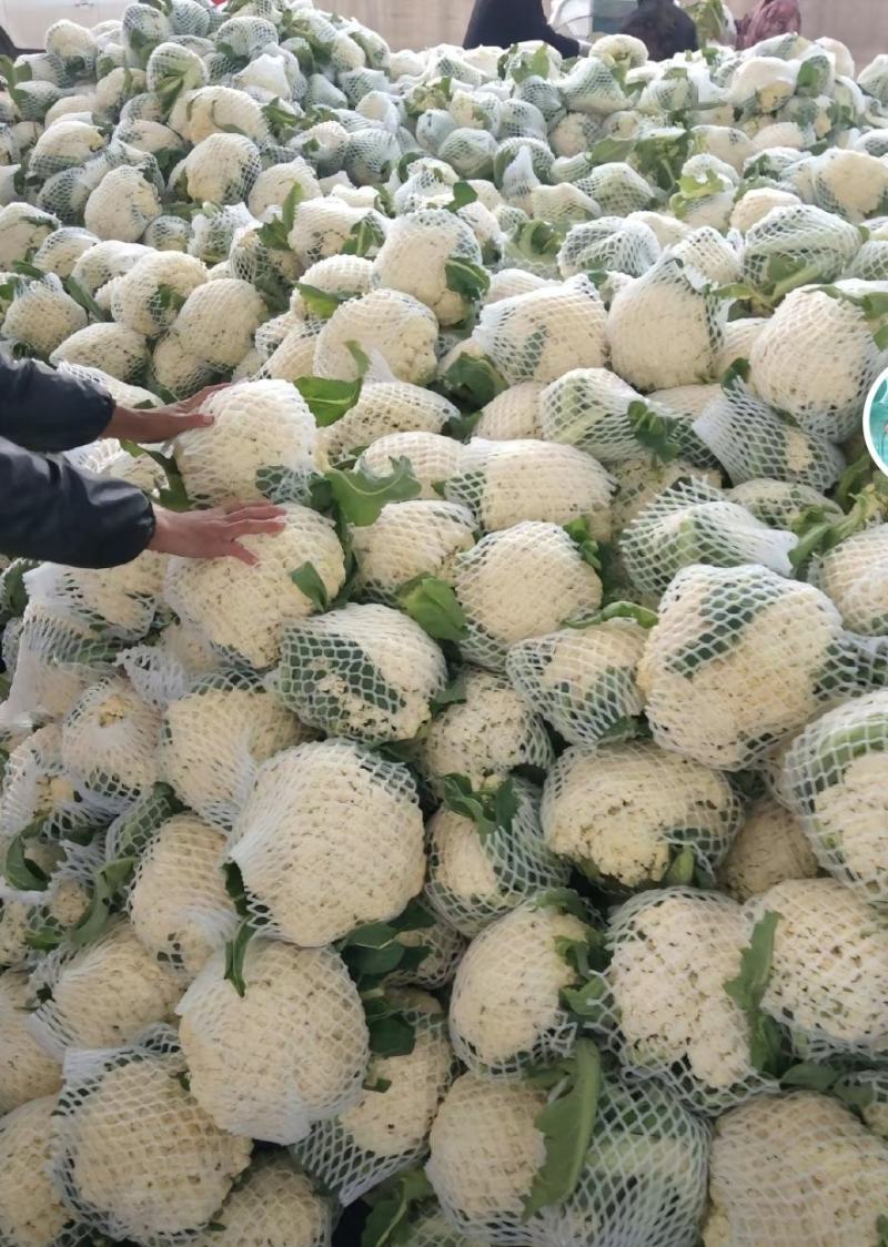 菜花