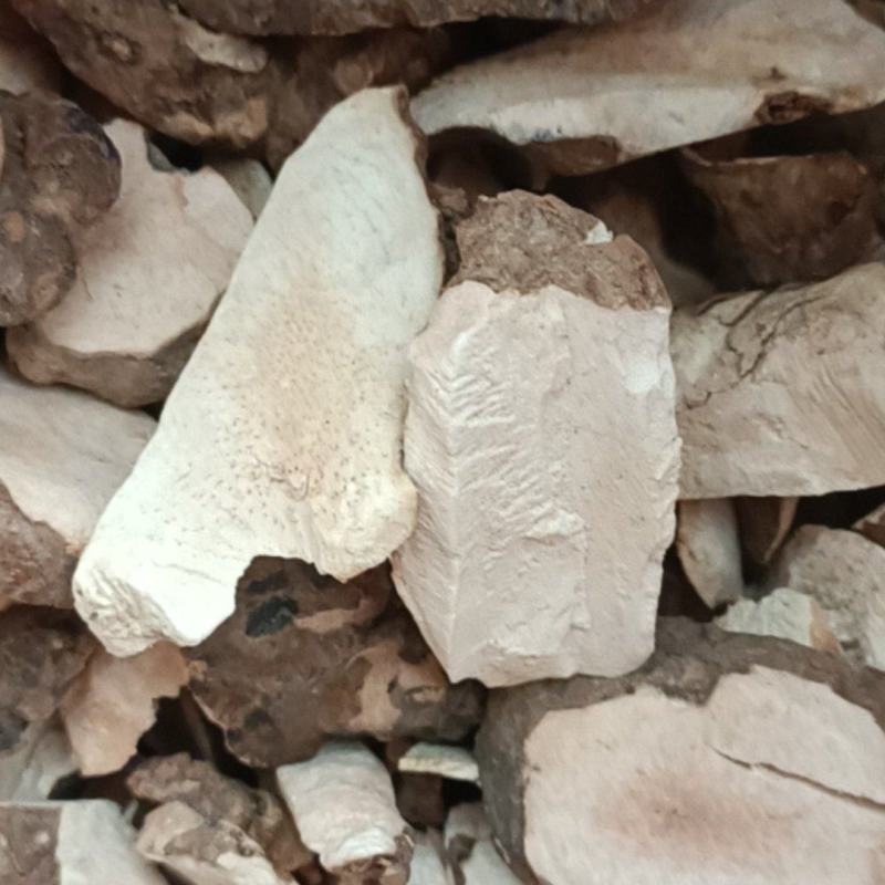 [精选]广东德庆本地大山深处白肉土茯苓干，手工切片足干货