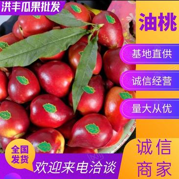 辽南中油油桃四号口感甜大量上市品相优良可长期合作