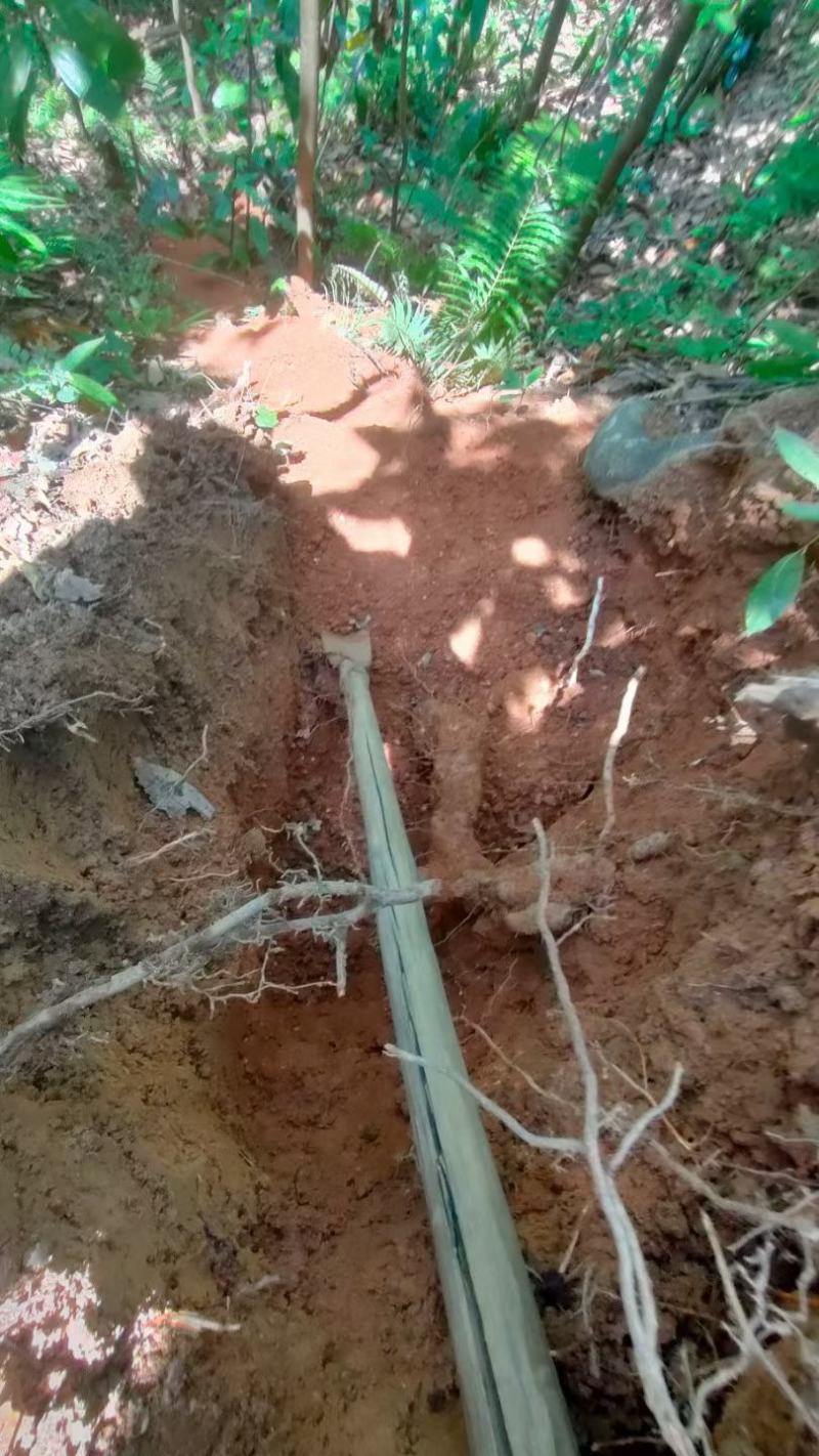 [精选]广东德庆本地大山深处白肉土茯苓干，手工切片足干货