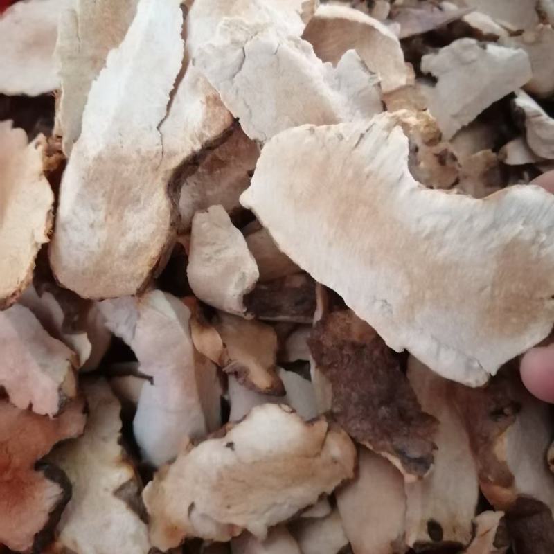 [精选]广东德庆本地大山深处白肉土茯苓干，手工切片足干货