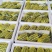 山东费县精品博洋9甜瓜香甜量大从优欢迎致电咨询