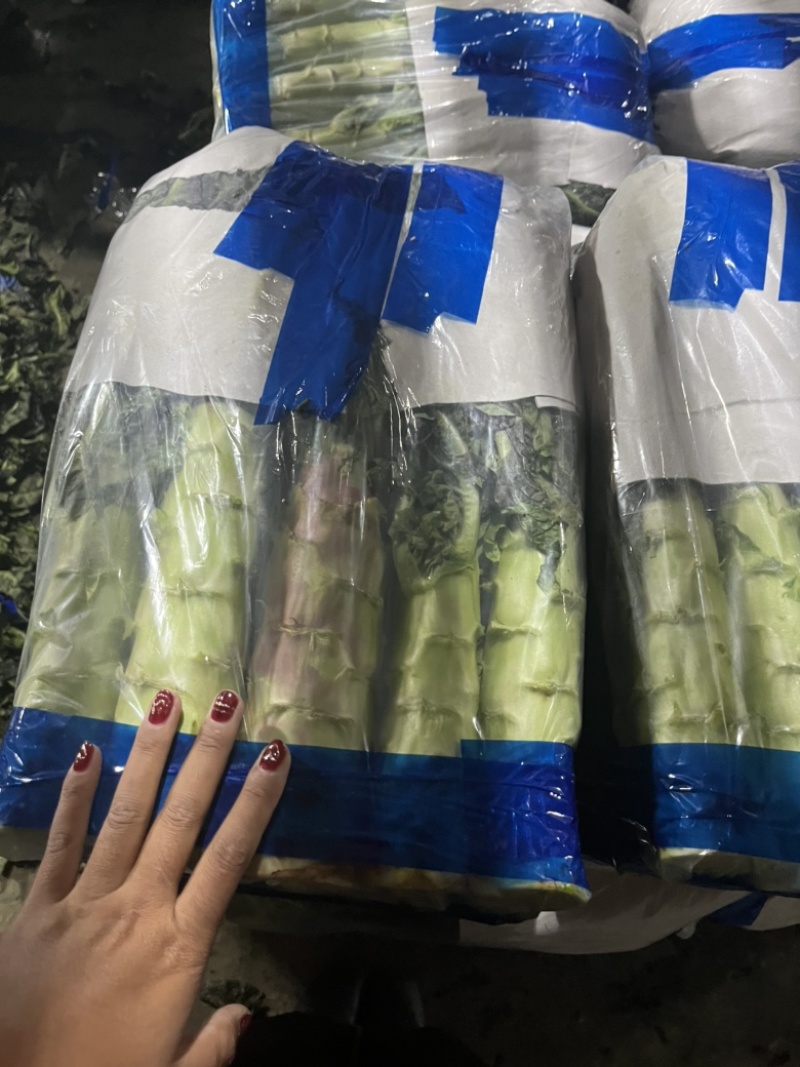 香格里拉精包装紫叶莴笋质量保证长期有货