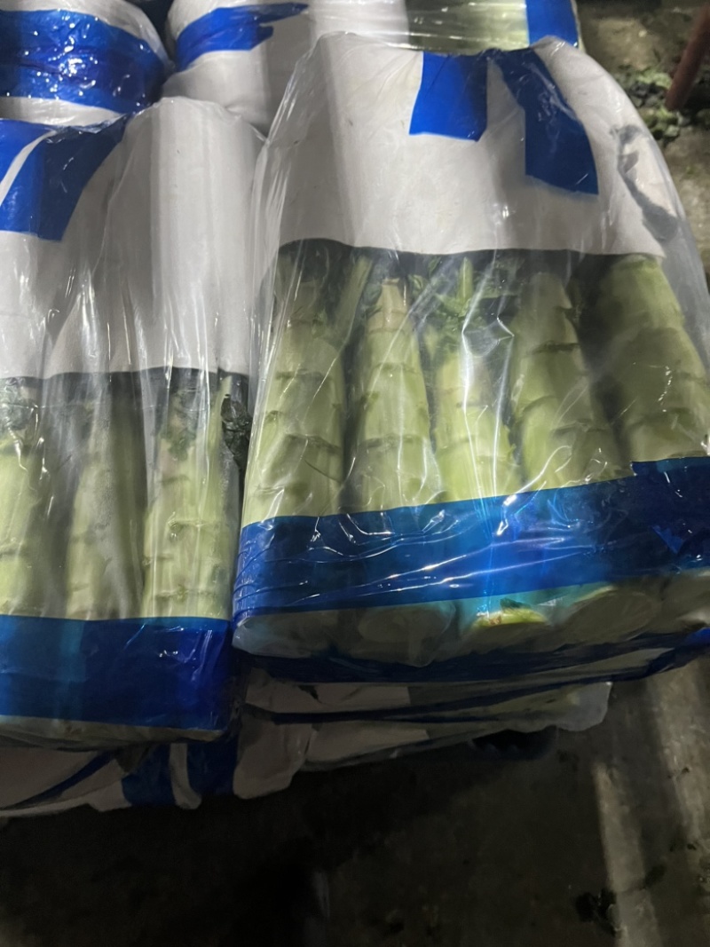 香格里拉精包装紫叶莴笋质量保证长期有货