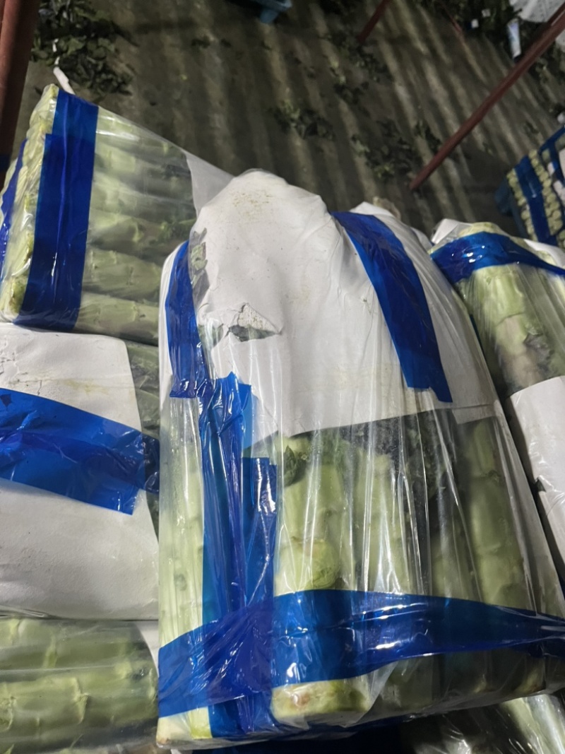 香格里拉精包装紫叶莴笋质量保证长期有货