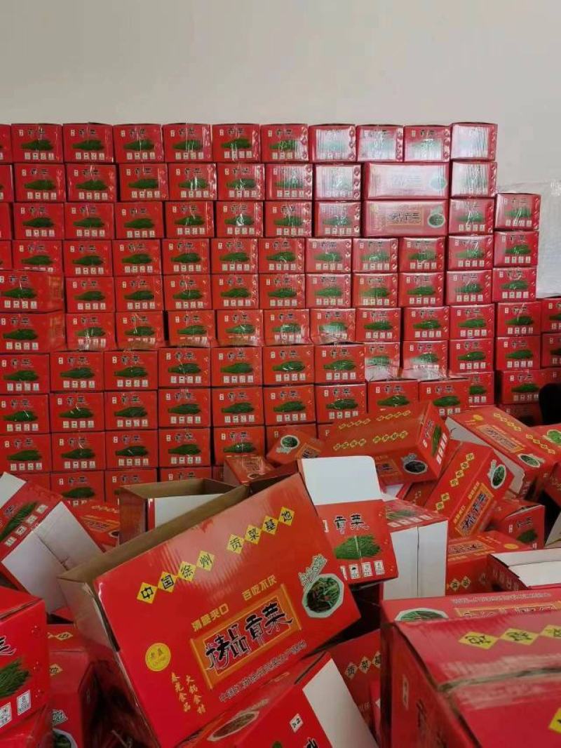 特级【贡菜】品质保证产地直销供应全国各地量大从优