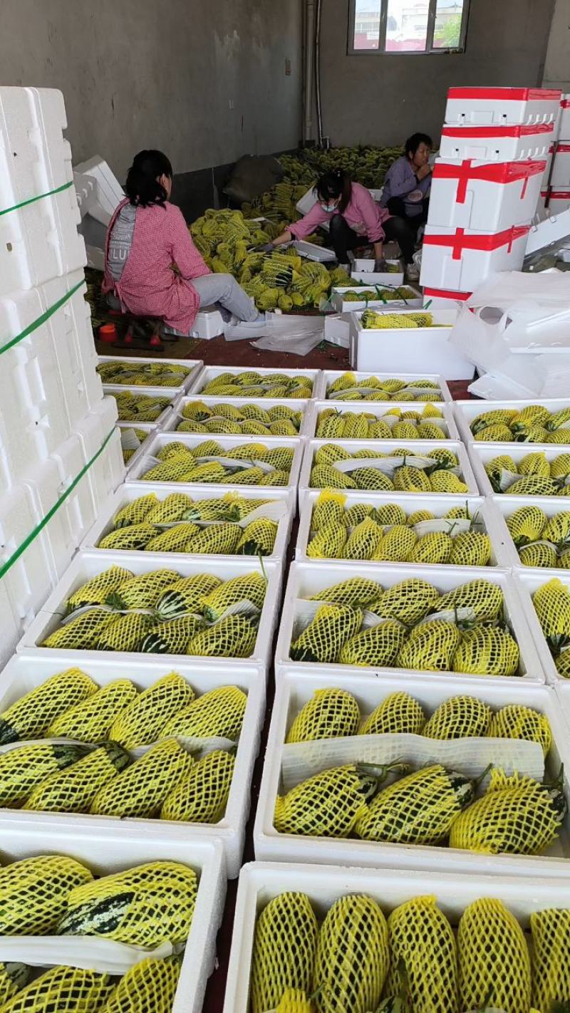 博洋九，博洋61【原产地】供电商市场超市，量大货足！