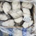 干冰鳕鱼片4种规格