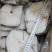 干冰鳕鱼片4种规格