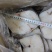 干冰鳕鱼片4种规格