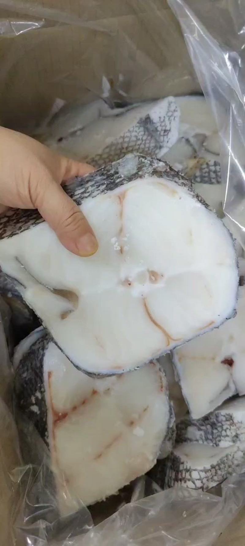 干冰鳕鱼片4种规格