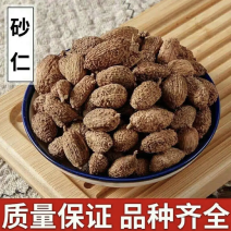 毛砂仁圆壳砂仁长壳砂仁香料调味料卤料足干足量