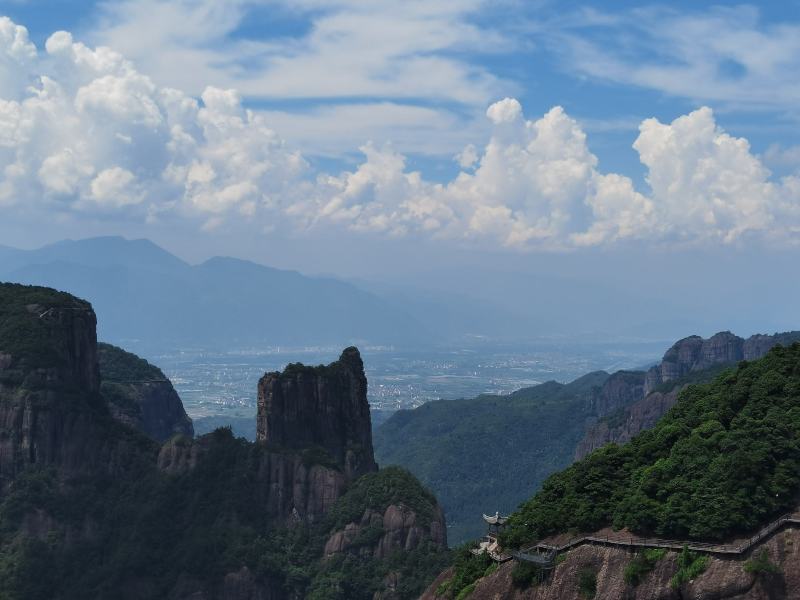 仙居杨梅