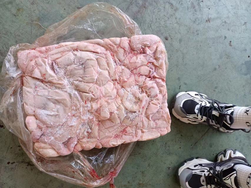猪小肠清洗过程特写