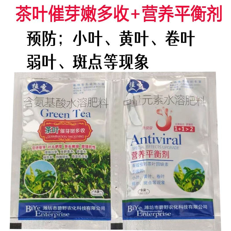 茶叶催芽采不尽强力催芽芽肥芽齐嫩芽多密度大延长采摘茶树肥