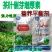 茶叶催芽采不尽强力催芽芽肥芽齐嫩芽多密度大延长采摘茶树肥