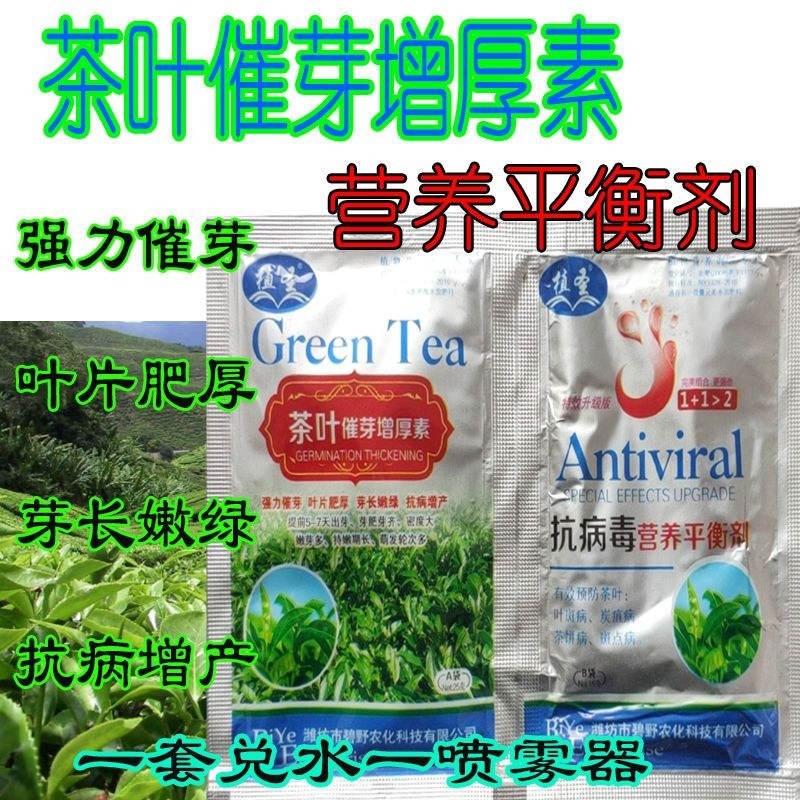 茶叶催芽采不尽强力催芽芽肥芽齐嫩芽多密度大延长采摘茶树肥