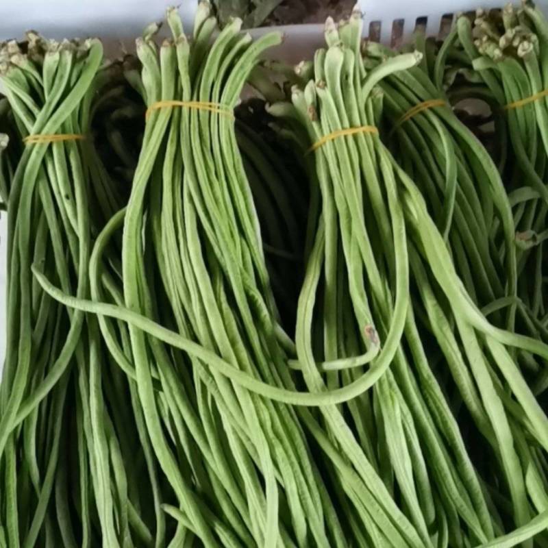 豆角