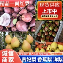 一面红梨供应河南三门峡产地一面红梨60#