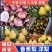 巴梨一面红梨香蕉梨大头梨无核梨红啤梨60#