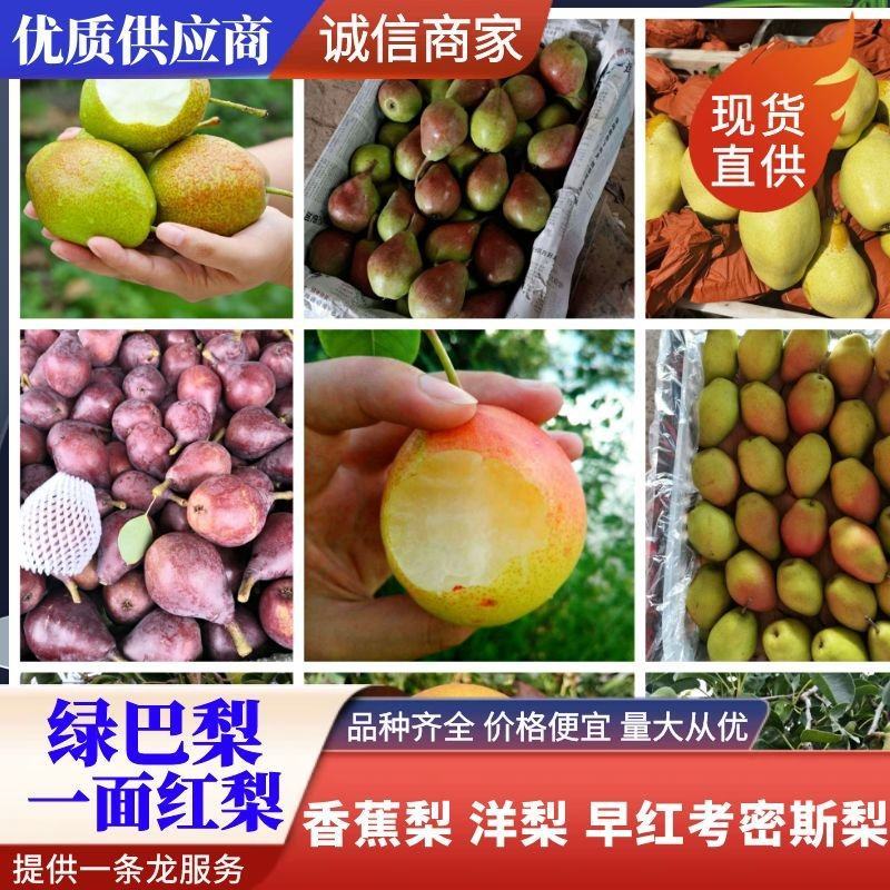绿巴梨红巴梨基地筐装箱装河南三门峡大量上市