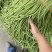 高山精品长刚豆量大可供应