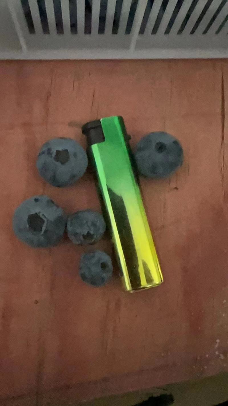 奥尼尔薄雾大批量上市，主要供应连锁商超酒店精品水果店批发