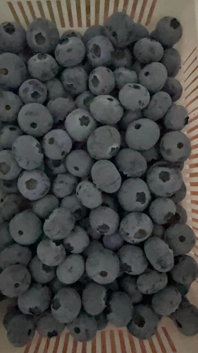 奥尼尔薄雾大批量上市，主要供应连锁商超酒店精品水果店批发