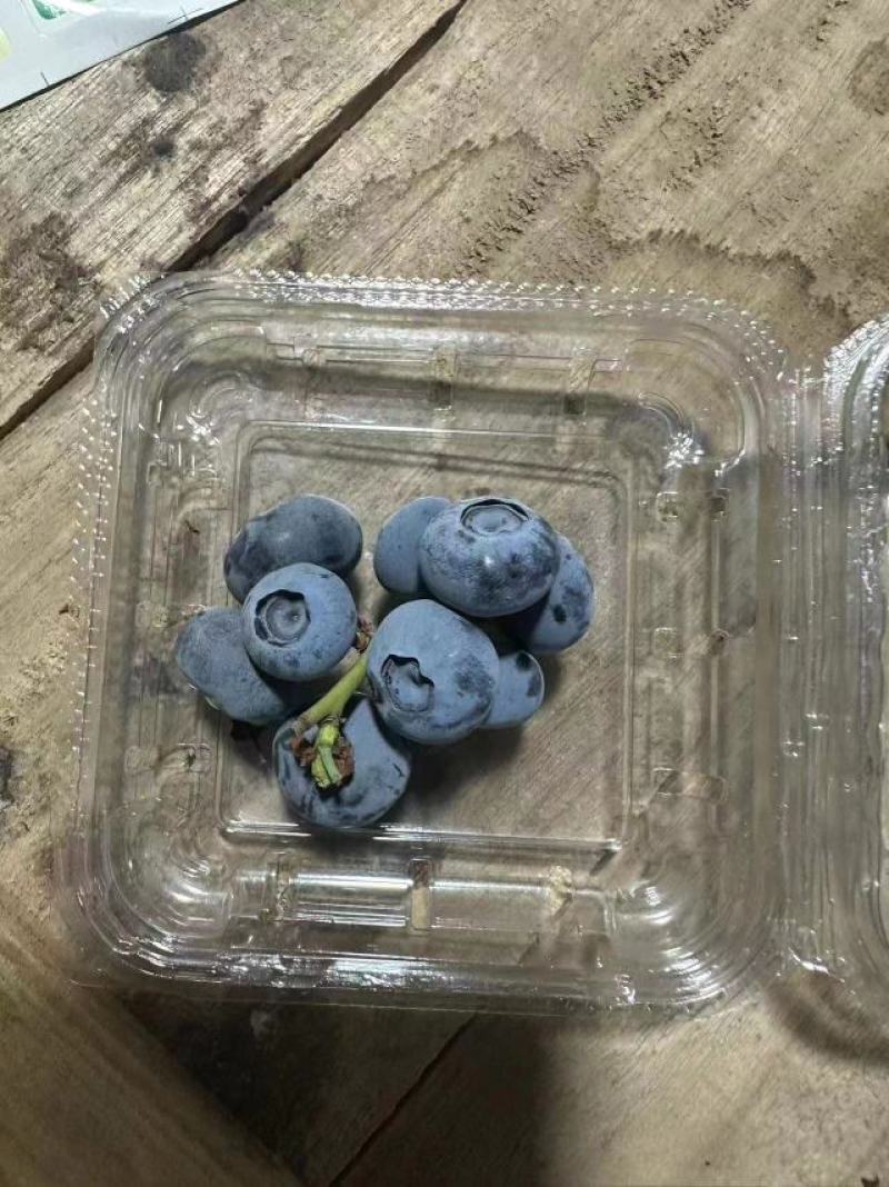 奥尼尔薄雾大批量上市，主要供应连锁商超酒店精品水果店批发