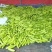 贵州高山西葫芦