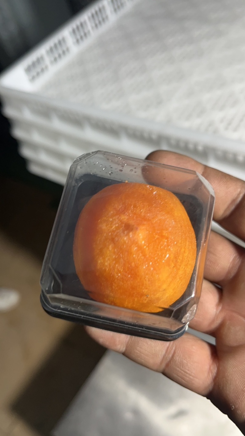 半干柿饼半干燥柿饼