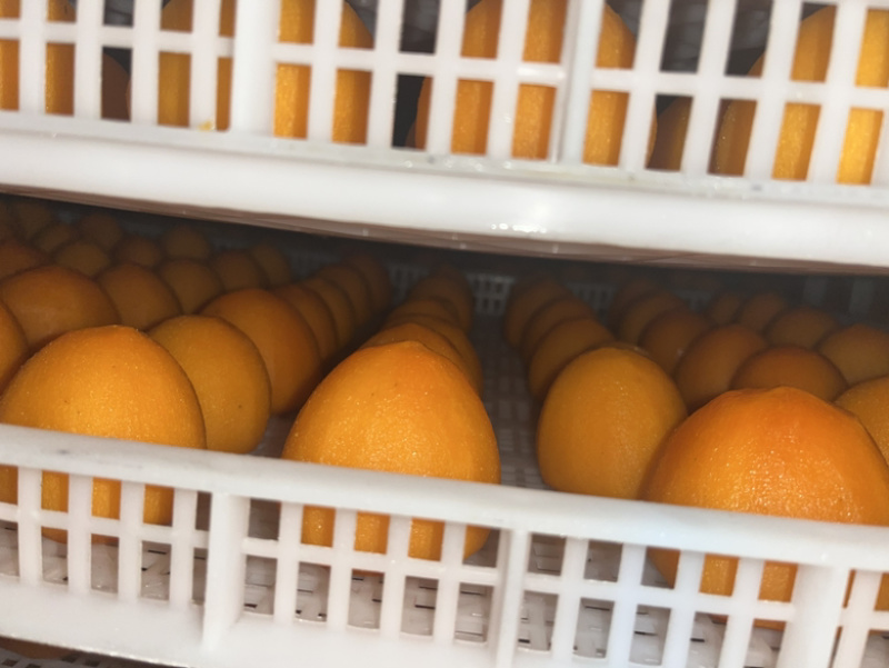 半干柿饼半干燥柿饼