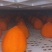 半干柿饼半干燥柿饼