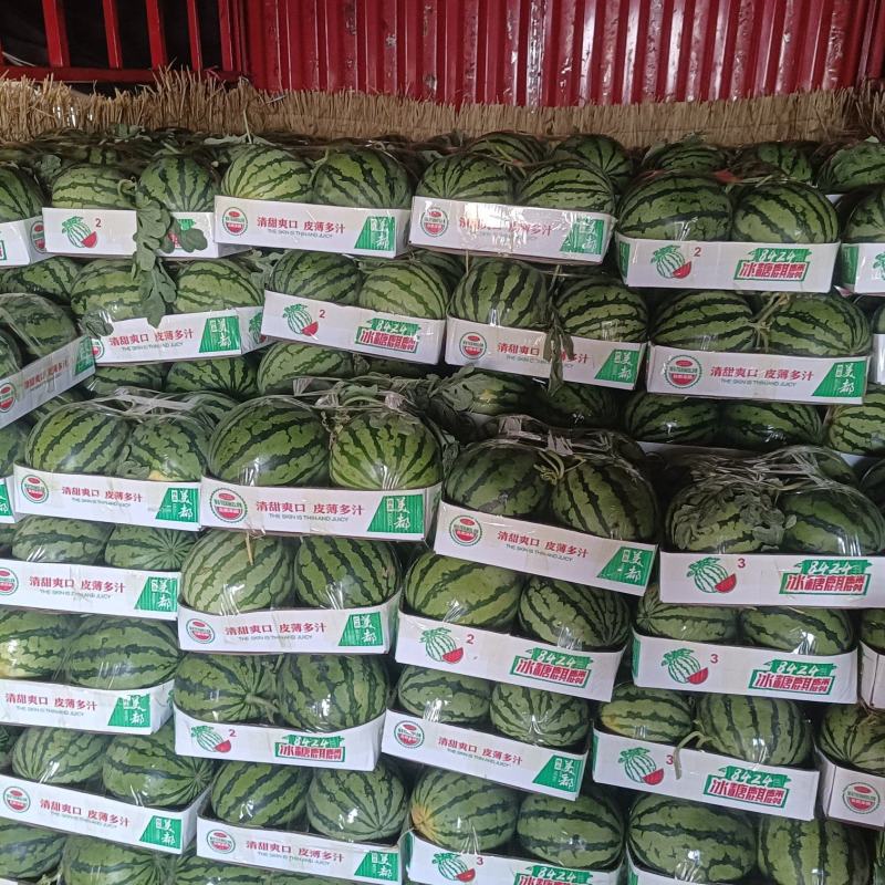 精品美都大量上市