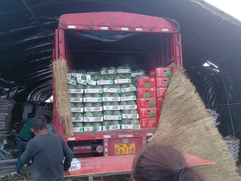 精品美都大量上市