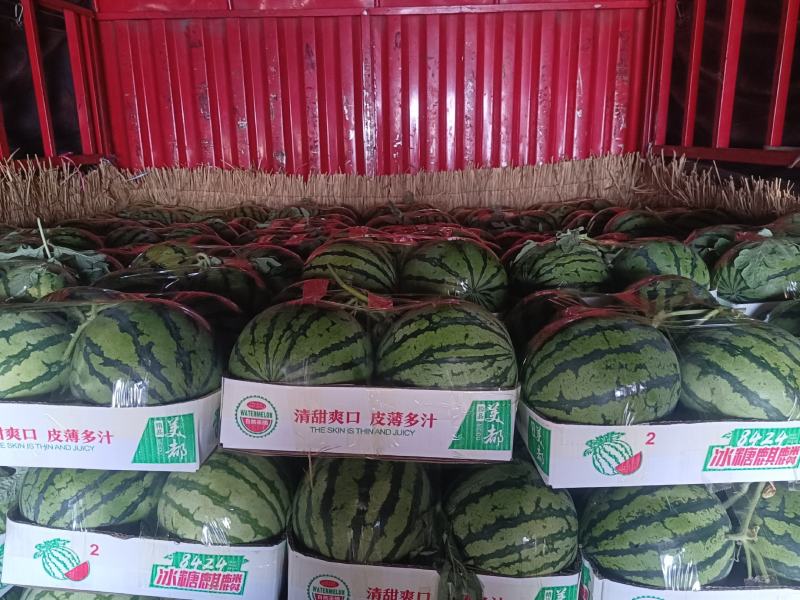 精品美都大量上市