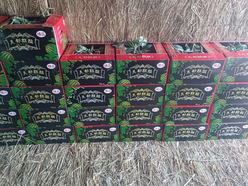 精品美都大量上市