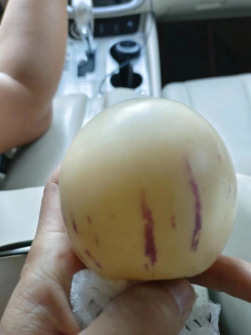 云南反季人参果水分十足，清甜多汁，口感非非常好，现摘现发