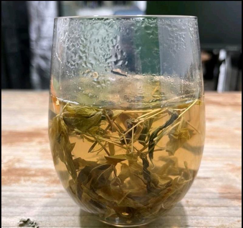 野生藤茶。莓茶，广西大山纯野生
