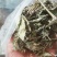 野生藤茶。莓茶，广西大山纯野生