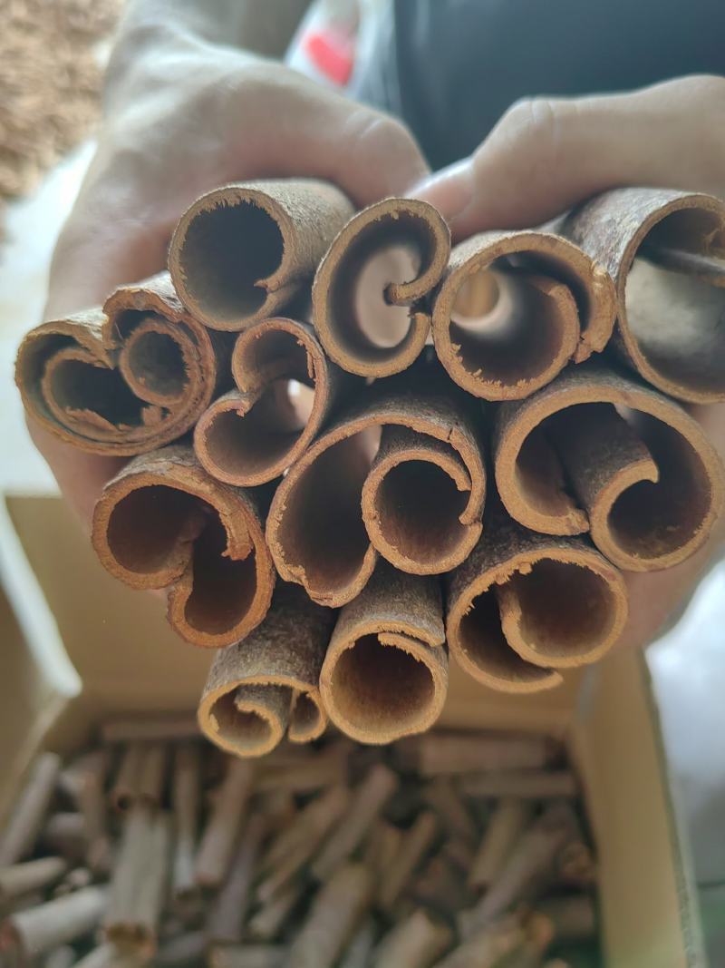 广西桂皮，一手货源，水洗中通，精品桂段，货源