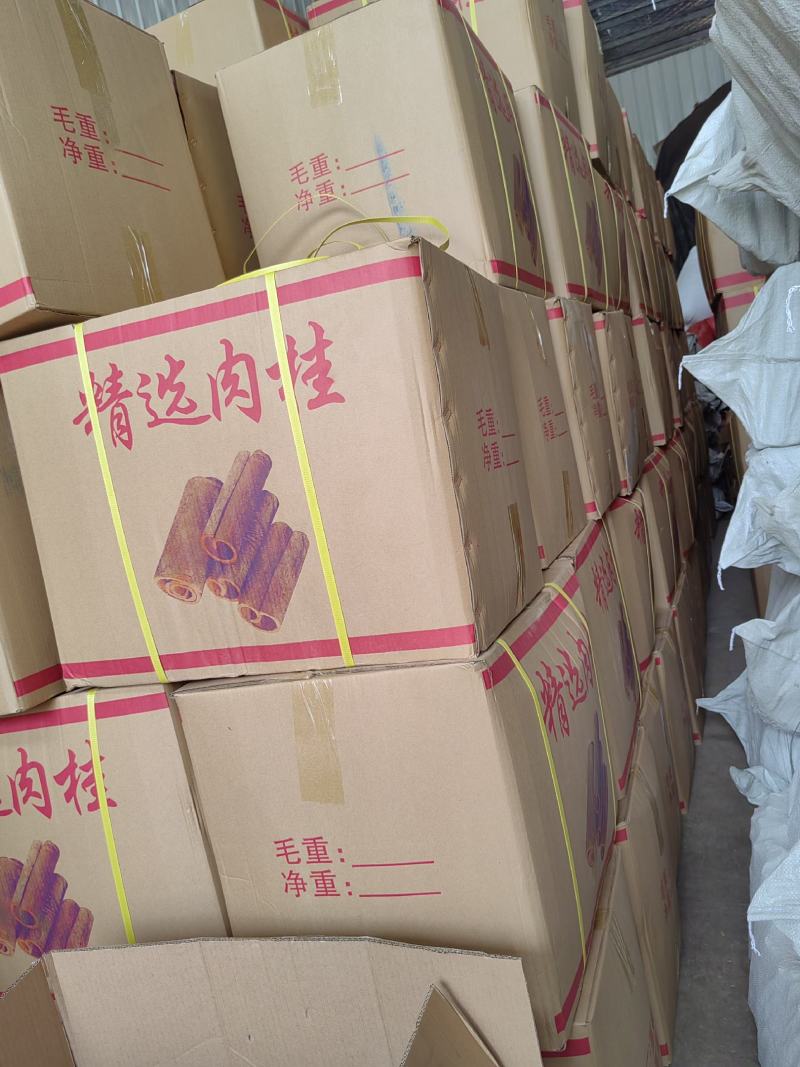 广西桂皮，一手货源，水洗中通，精品桂段，货源