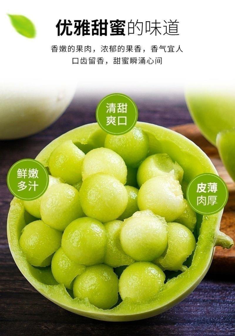 一件代发玉菇甜瓜基地直发保质保量现货秒发