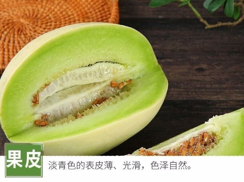 一件代发玉菇甜瓜基地直发保质保量现货秒发