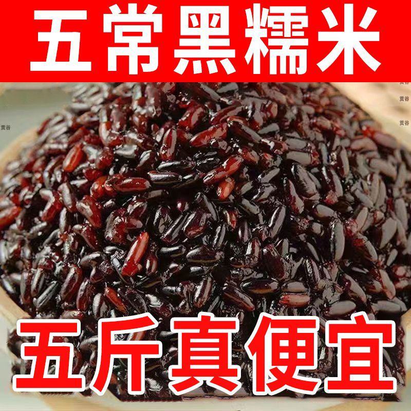 东北黑糯米血糯米农家自种黑米粥粽子饭团当季新米粗杂粮自产