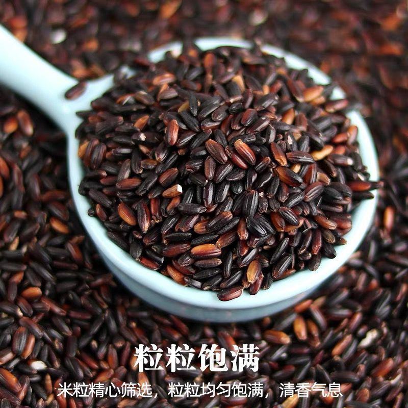 东北黑糯米血糯米农家自种黑米粥粽子饭团当季新米粗杂粮自产
