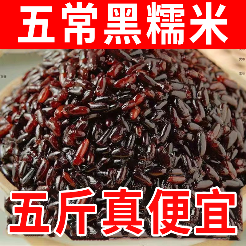 东北黑糯米血糯米农家自种黑米粥粽子饭团当季新米粗杂粮自产
